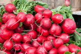 2000 CRIMSON GIANT RADISH Raphanus Sativus Vegetable Seeds
