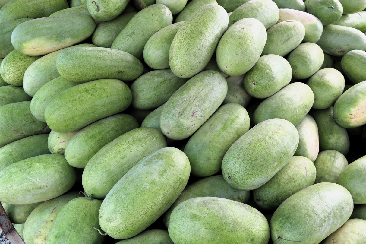 50 CHARLESTON GRAY WATERMELON Citrullus Lanatus Red Fruit Melon Seeds