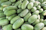 50 CHARLESTON GRAY WATERMELON Citrullus Lanatus Red Fruit Melon Seeds