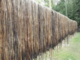 100 TOSSA JUTE Mallow Corchorus Olitorius African Sorrel Bush Okra Twine Vegetable Seeds