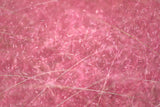 40 PINK MUHLY GRASS Cotton Candy Grass Muhlenbergia Capillaris Native Seeds