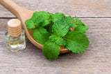 500 SPEARMINT (English Mint) Mentha Spicata Herb Flower Seeds