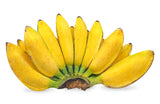 5 PLANTAIN BANANA Musa Balbisiana Hardy Red Flowering Sweet Wild Fruit Tree Seeds