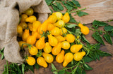 300 YELLOW PEAR TOMATO Lycopersicon Lycopersicum Fruit Vegetable Seeds
