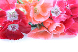 500 DOUBLE DEUCES GODETIA Grandiflora Clarkia Amoena Mixed Colors & Bicolor Flower Seeds