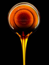 70 SUGAR DRIP SORGHUM Amber Cane Grain Sweet Syrup Vegetable Seeds