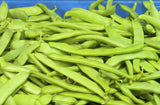 50 ROMANO BUSH BEAN Italian Flat Green Pod Phaseolus Vulgaris Vegetable Seeds