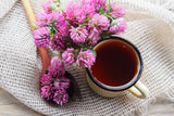1500 RED CLOVER Monarchs Trifolium Pratense Rose Mauve Flower Ground Cover Seeds