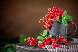 20 Red WAX CURRANT Edible Fruit Berries Pink Flowers Shrub Ribes Cereum Seeds