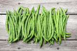 50 BURPEE STRINGLESS Green Pod BEAN French Phaseolus Vulgaris Vegetable Seeds