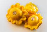 10 Golden YELLOW Bush SCALLOP SQUASH (Patty Pan / Paty Pan / Squanter Squash) Summer Cucurbita Pepo Vegetable Seeds