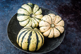 25 SWEET DUMPLING SQUASH Orange Winter Delicata Cucurbita Maxima Vegetable Seeds