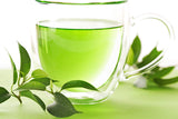 1 Lb Bulk TEA PLANT Black & Green Drinking Tea Camellia Sinensis Tree Shrub Herb Flower - Approx 385 Seeds