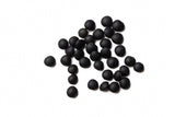 100 BLACK LENTIL Bush Lens Culinaris Vegetable Legume Sprouts Seeds