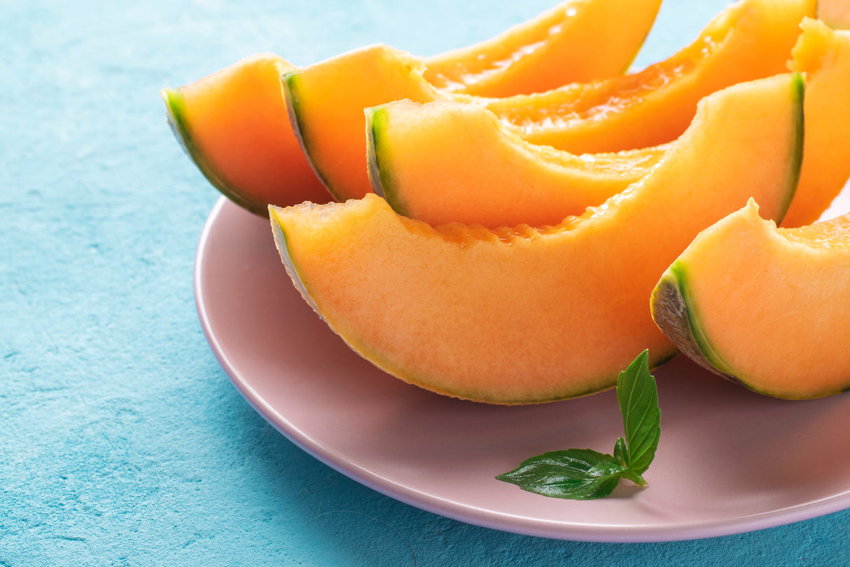 200 IROQUOIS CANTALOUPE Melon Fruit Cucumis Melo Seeds