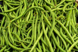 50 FRENCH Blue Lake POLE BEAN Phaseolus Vulgaris Vegetable Seeds