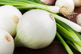 500 Sweet WHITE SPANISH ONION Allium Cepa Vegetable Seeds