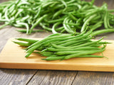50 TENDERGREEN GREEN BEAN Phaseolus Vulgaris Vegetable Seeds