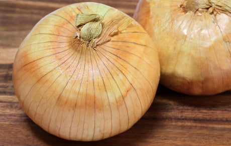 400 Texas EARLY GRANO ONION Large Sweet Yellow Allium Cepa Vegetable Seeds
