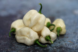 50 Mixed HOT HABANERO PEPPER Red Orange White Brown Mix Capsicum Chinense Seeds