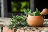 50 MOTHERWORT (Lions Tail / Heartwort) Leonurus Cardiaca Herb Flower Seeds