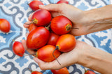 10 TAMARILLO / TREE TOMATO Cyphomandra Betacea Solanum Fruit Tree Seeds