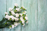 50 WHITE CARNATION Dianthus Caryophyllus Grenadin Flower Seeds