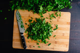1000 CILANTRO / CORRIANDER / Chinese PARSLEY Coriandrum Sativum Herb Flower Seeds
