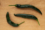 50 PASILLA BAJIO PEPPER Mexican Chilaca Chile Negro Capsicum Annuum Vegetable Seeds