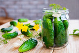 150 BOSTON PICKLING CUCUMBER Heirloom Cucumis Sativus Fruit Vegetable Seeds