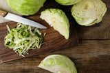 500 FLAT DUTCH Late CABBAGE Brassica Oleracea Capitata Vegetable Seeds
