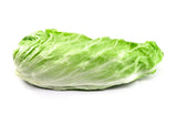 250 SUGAR LOAF ENDIVE Radicchio Escarole Cichorium Intybus Green Vegetable Seeds