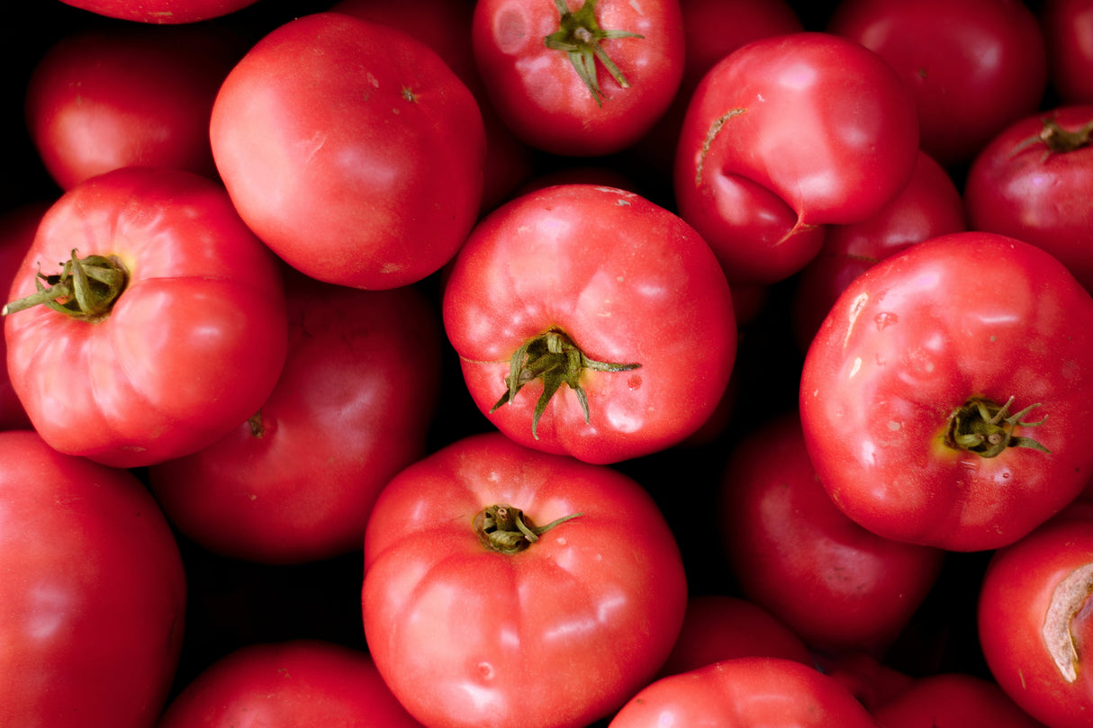 200 PINK PONDEROSA TOMATO Henderson's Lycopersicon Fruit Vegetable Seeds