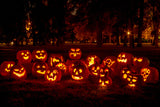 50 JACK O LANTERN PUMPKIN Cucurbita Maxima Vegetable Seeds