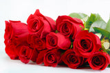 5 RED ROSE Rosa Bush Shrub Perennial Flower Seeds