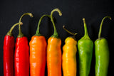 100 MIXED CAYENNE PEPPER Hot Yellow Purple Orange Red Green Capsicum Vegetable Seeds