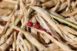 50 ADZUKI BEAN Aduki Red Bean Maroon Phaseolus Angularis Legume Vegetable Seeds