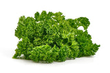 500 FOREST GREEN PARSLEY Petroselinum Crispum Double Triple Curl Vegetable Seeds