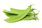 50 Mammoth MELTING SUGAR PEA Stringless Snow Pea Pisum Sativum Vegetable Seeds