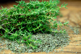 1000 Common GARDEN THYME English, German, French, or Winter Thymus Vulgaris Herb Flower Seeds