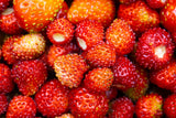 100 VESCA BARON STRAWBERRY Solemacher Berry Fragari Fruit Seeds
