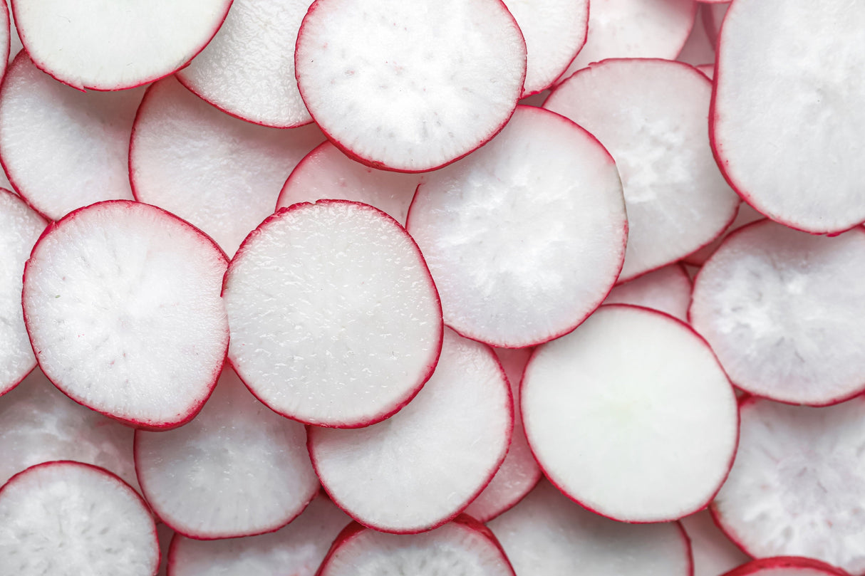 2000 CRIMSON GIANT RADISH Raphanus Sativus Vegetable Seeds