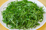 1000 HANOVER SALAD Spring KALE Smooth Siberian Brassica Napus Vegetable Seeds