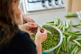 50 GREEN ARROW PEA Heirloom Shelling English Pisum Sativum Vegetable Seeds