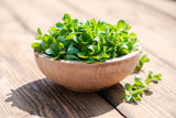 500 Dutch CORN SALAD Lambs Lettuce Valerianella Locusta Herb Vegetable Seeds