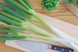 300 Evergreen NEBUKA BUNCHING ONION Japanese Allium Fistulosum Vegetable Seeds