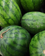 50 CONGO WATERMELON Red Citrullus Lanatus 40 lb AAS Winner Fruit Melon Seeds