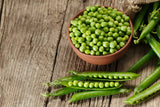 50 Early FROSTY GARDEN PEA English Shelling Pisum Sativum Vegetable Seeds
