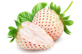 100 WHITE SOUL STRAWBERRY Fragaria Vesca Fruit Flower Berry Seeds