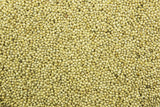 200 PROSO MILLET White Common Panicum Miliaceum Ornamental Grass Vegetable Seeds